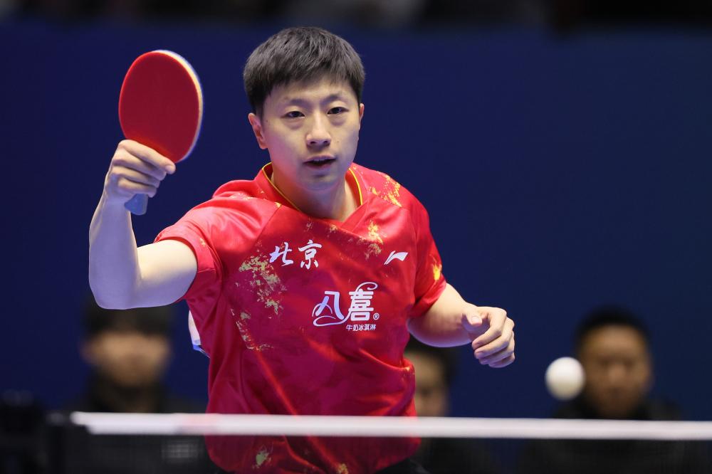 故事與亮點 故事與亮點