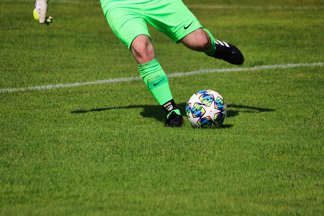 東契奇缺陣 東契奇缺陣