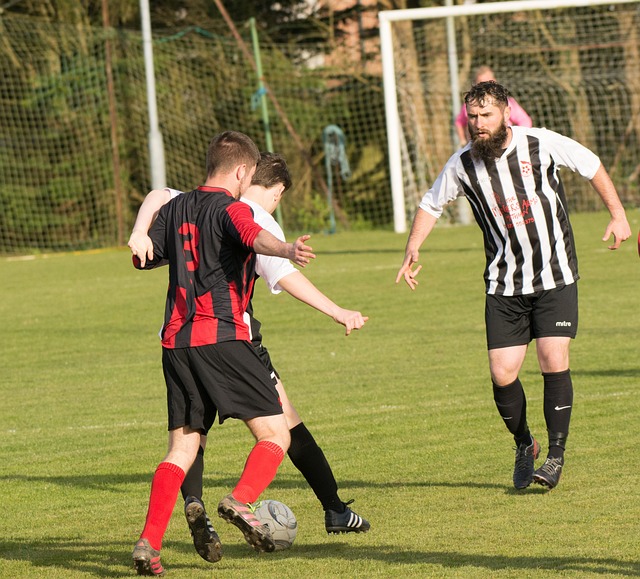 至於結果如 至於結果如