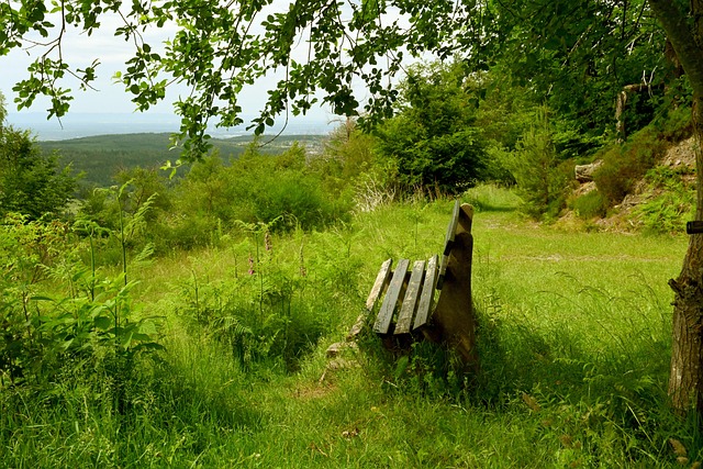 无论身处何 无论身处何