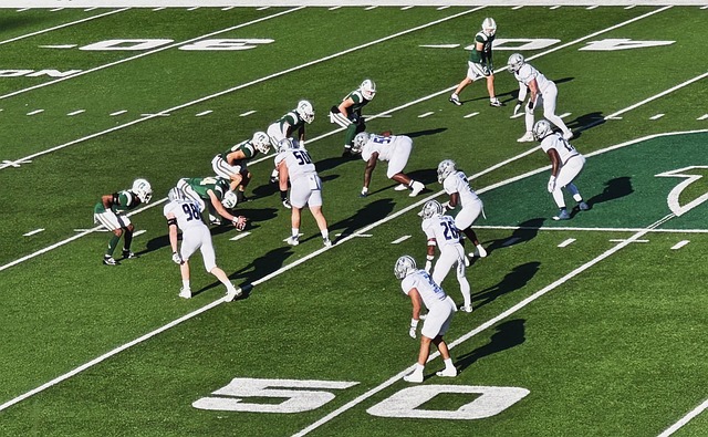 篮球环境中 篮球环境中