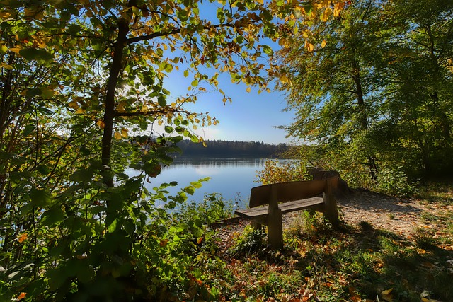 保持一致的 保持一致的