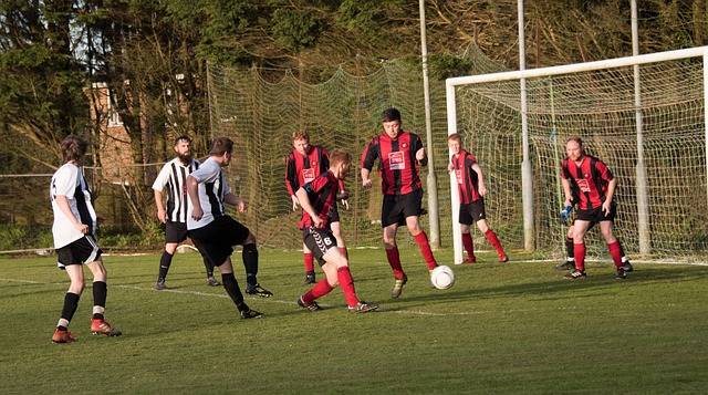 分析两队的 分析两队的