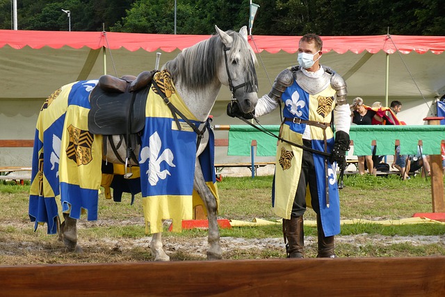 篮球迷们总 篮球迷们总