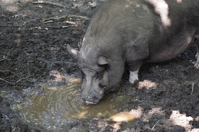 如何通過交 如何通過交