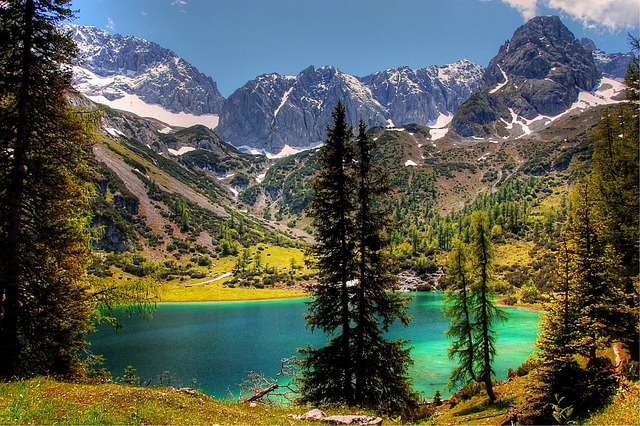 一点也不像